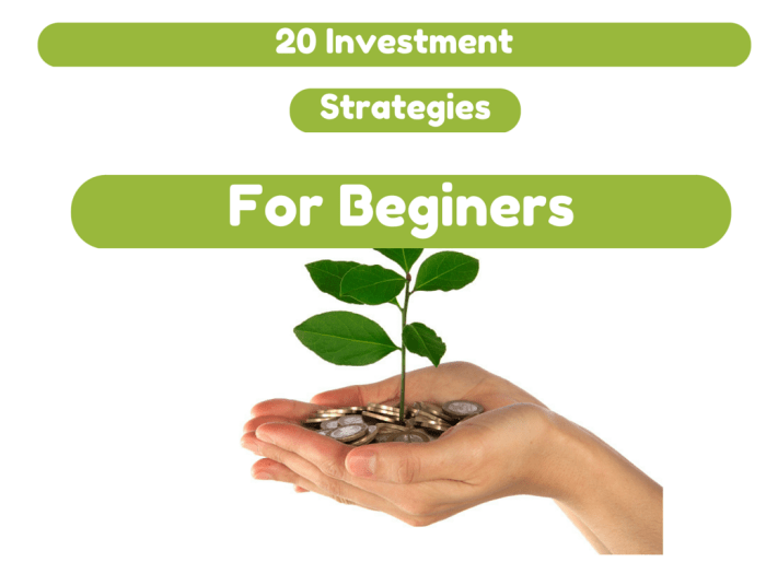 Investment strategies beginners onecentatatime