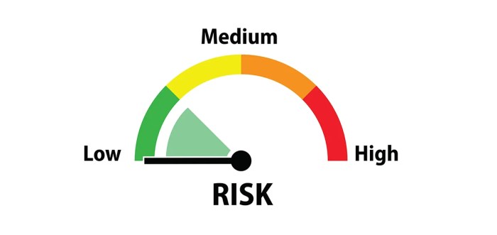 Risk investments