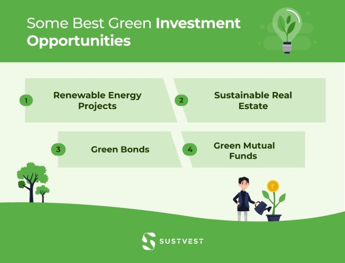 Investment Opportunities in Green Energy