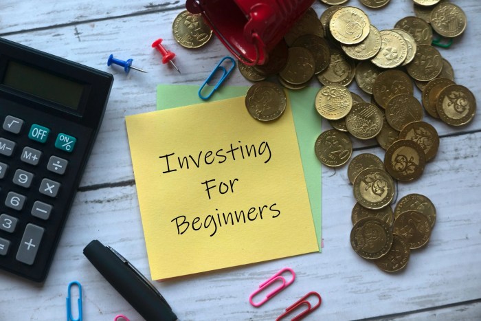 Investing funcheaporfree